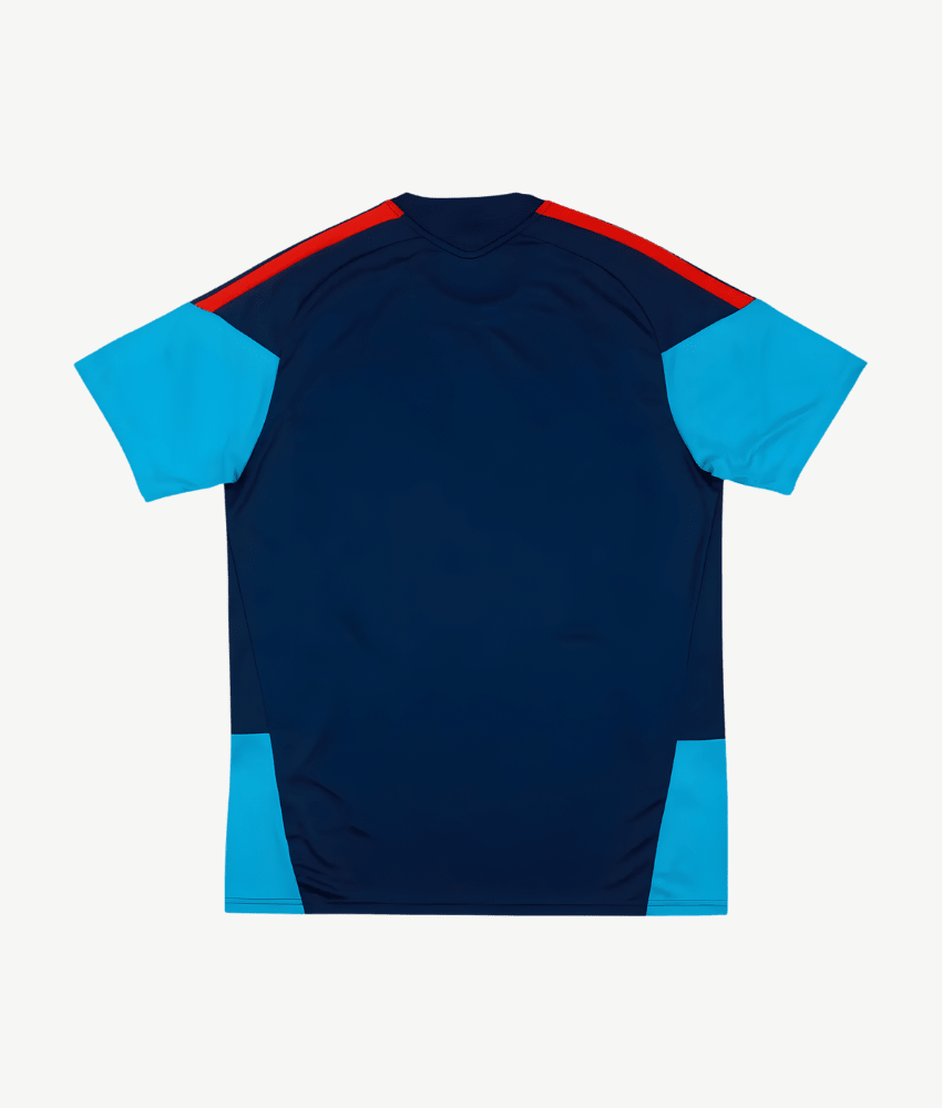 SPAIN 2026 WORLD CUP TRAINING SHIRT